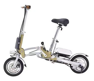 Folding Electric Bicycle Electric Motorcycle Bike