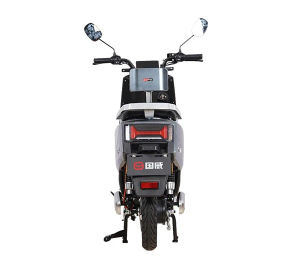 High Tech Removable Electric Motorcycle